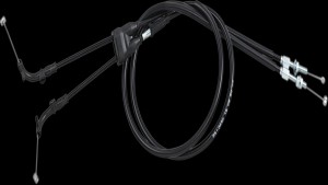 Shopping Cart, Shopping Cart