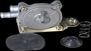 Shopping Cart, Shopping Cart