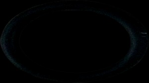 Shopping Cart, Shopping Cart