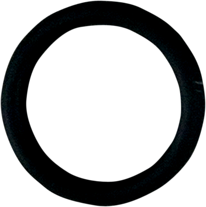 FUEL-TOOL Replacement O-Ring