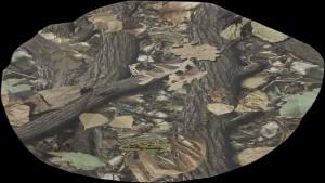 Shopping Cart, Shopping Cart