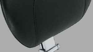 MUSTANG Passenger Backrest