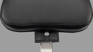 SADDLEMEN Renegade Backrest