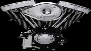 Shopping Cart, Shopping Cart