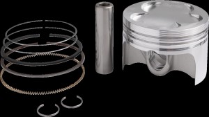 Shopping Cart, Shopping Cart