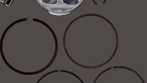 Shopping Cart, Shopping Cart