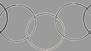 WSM Piston Rings - 79.50 mm - Honda
