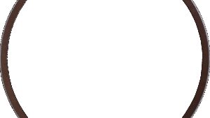 WOSSNER Piston Ring - 72.50 mm