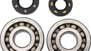 HOT RODS Crankshaft Bearings - Kawasaki