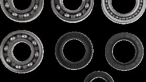 MOOSE OFFROAD Crank Bearings and Seals - Polaris