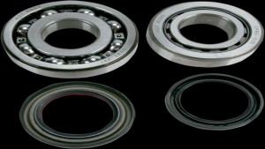 Shopping Cart, Shopping Cart