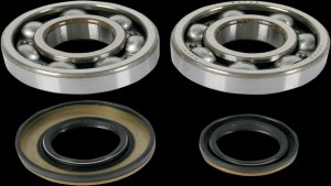 Shopping Cart, Shopping Cart