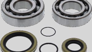 MOOSE OFFROAD Crank Bearings and Seals - Gas Gas/Rieju