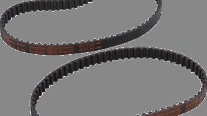 BELT DRIVES LTD. Timing Belt