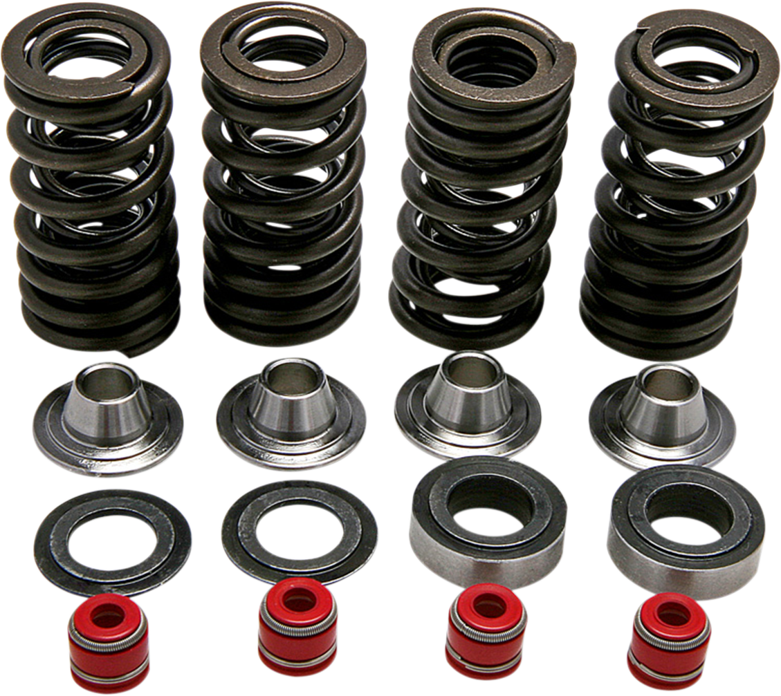 KIBBLEWHITE SPRING KIT,CRF250R