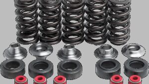 KIBBLEWHITE Valve Spring Kit - 0.375" Lift - Lightweight Racing - Yamaha