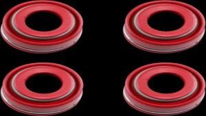 Shopping Cart, Shopping Cart