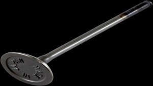 Shopping Cart, Shopping Cart