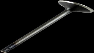 Shopping Cart, Shopping Cart