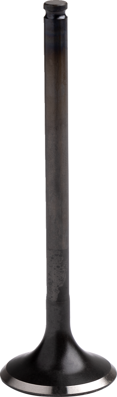 PROX Exhaust Valve - Beta | Husaberg | KTM | Polaris