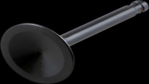 Shopping Cart, Shopping Cart