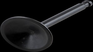 Shopping Cart, Shopping Cart