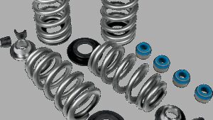 FEULING PARTS Beehive Valve Springs