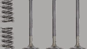 PROX Valve and Spring Kit - Intake - Gas Gas | Yamaha