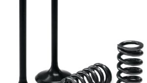 PROX Valve and Spring Kit - Intake - Kawasaki