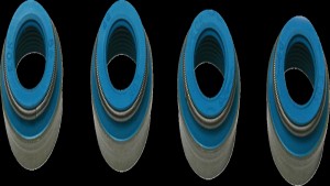 Shopping Cart, Shopping Cart