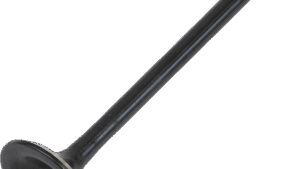 Shopping Cart, Shopping Cart