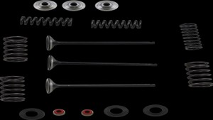 Shopping Cart, Shopping Cart