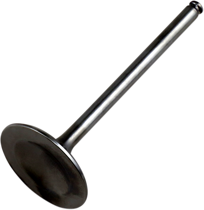 HOT CAMS Intake Valve - Titanium - Honda