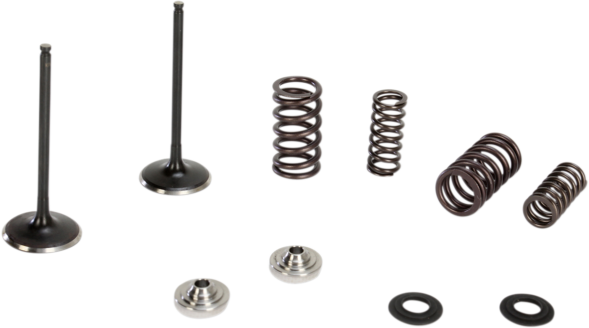 KIBBLEWHITE Valve and Spring Kit - 0.445" Lift - Suzuki RMZ250 '07-'17