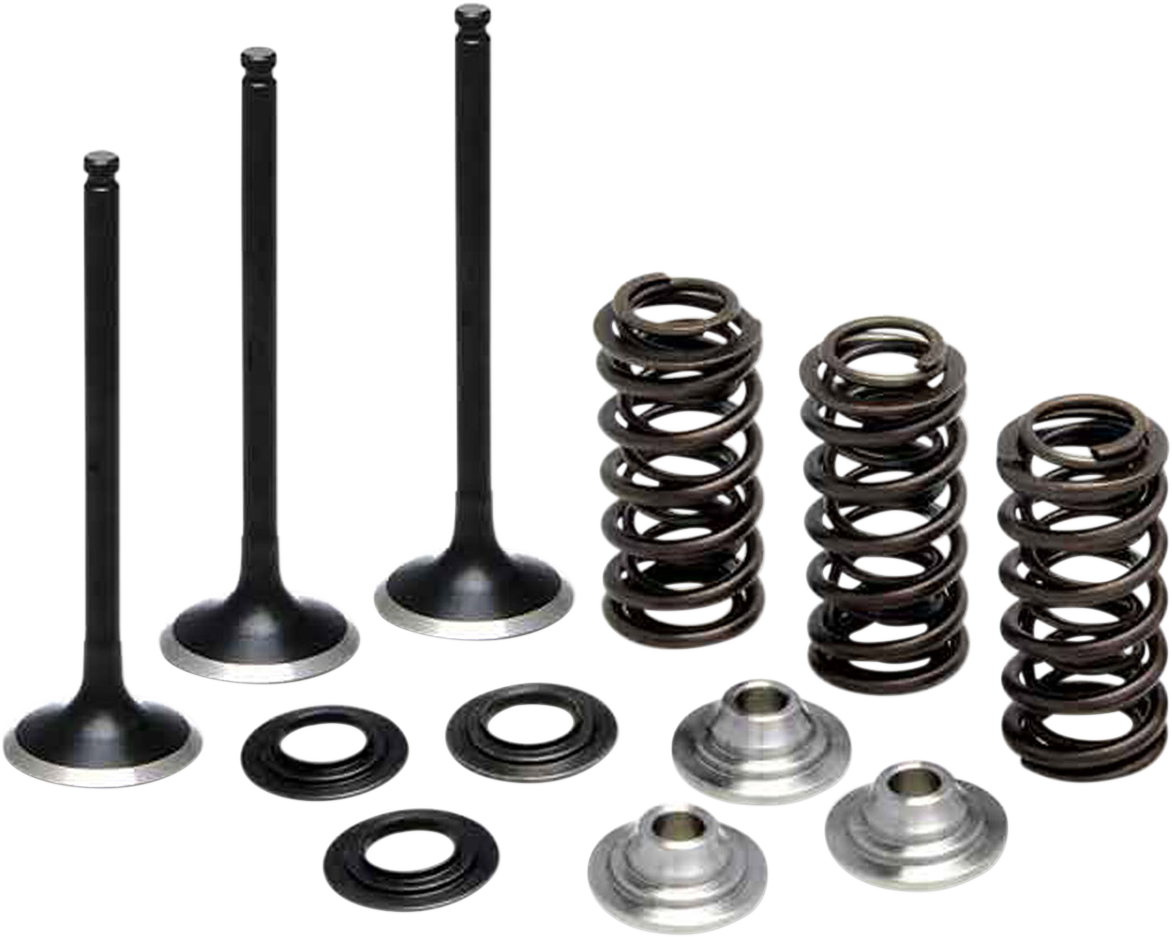 KIBBLEWHITE Valve and Spring Kit - 0.380" Lift - Yamaha WR250F | YZ 250F '01-'13