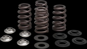 Shopping Cart, Shopping Cart