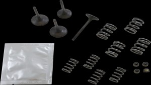 Shopping Cart, Shopping Cart