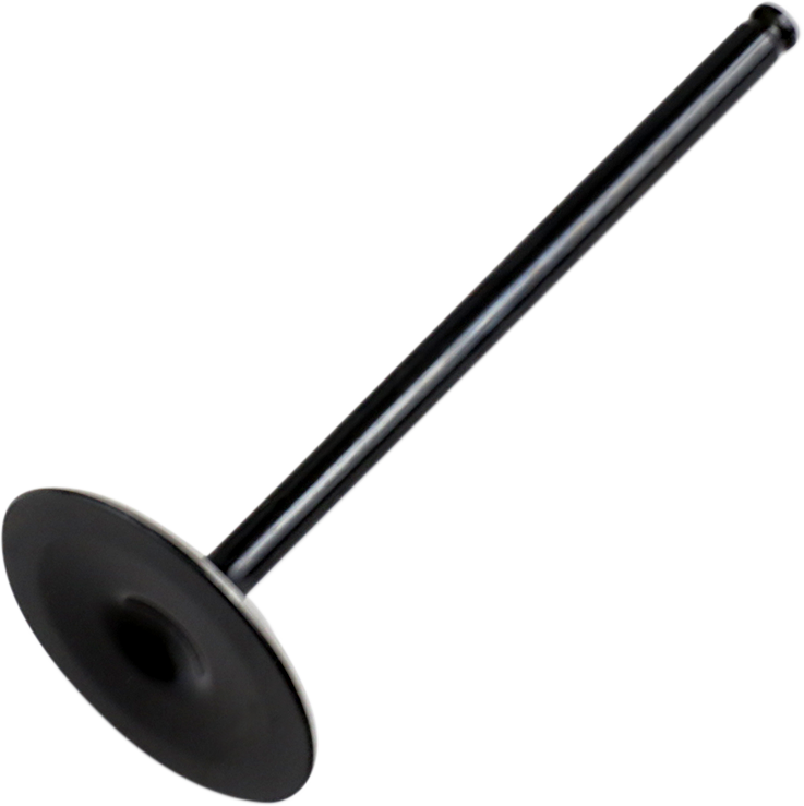 HOT CAMS Intake Valve - Steel - Polaris
