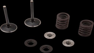 Shopping Cart, Shopping Cart