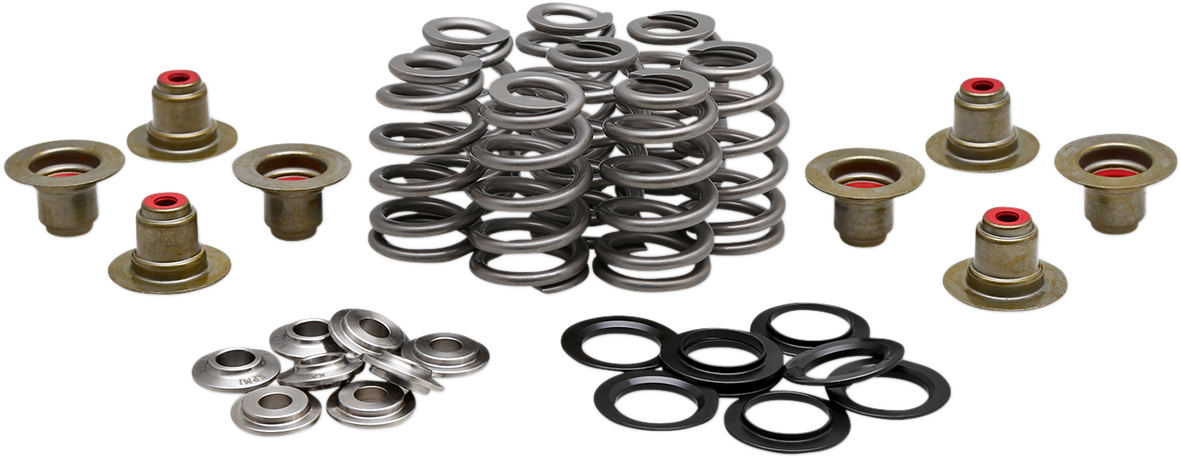 KIBBLEWHITE Beehive Spring Kit - 0.625" Lift - M8 | CVO