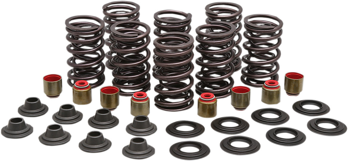KIBBLEWHITE Valve Spring Kit - 0.450" Lift - High Performance - Polaris