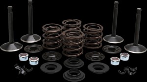 Shopping Cart, Shopping Cart