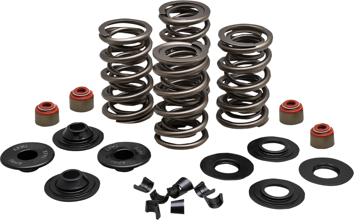 KIBBLEWHITE Valve Spring Kit - 0.650" Lift - 88"/96"/103" Twin Cam | Buell | XL | XR