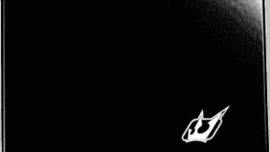 DRIVEN RACING Block Off Plate - Kawasaki 400