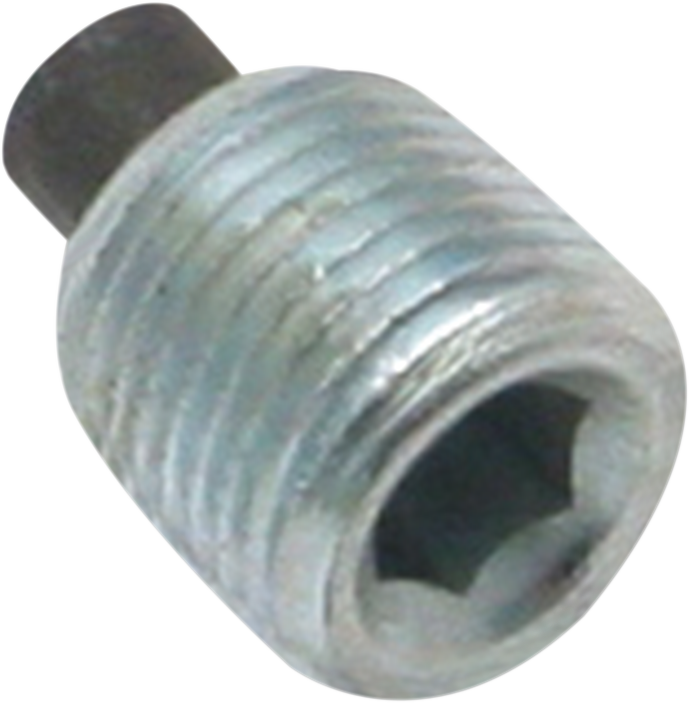 S&S CYCLE Magnetic Plug - 1/8" NPT