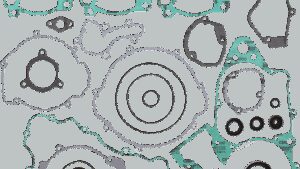 MOOSE OFFROAD Motor Gasket Kit with Oil Seal - KTM