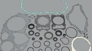 MOOSE OFFROAD Motor Gasket Kit with Oil Seal - Arctic Cat/Suzuki