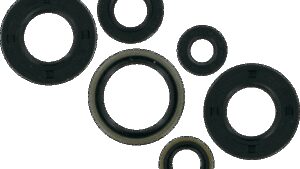 MOOSE OFFROAD Motor Oil Seals - KTM