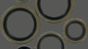 MOOSE OFFROAD Motor Oil Seals - Husqvarna/KTM