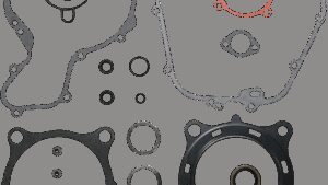 MOOSE OFFROAD Motor Gasket Kit with Oil Seal - Polaris